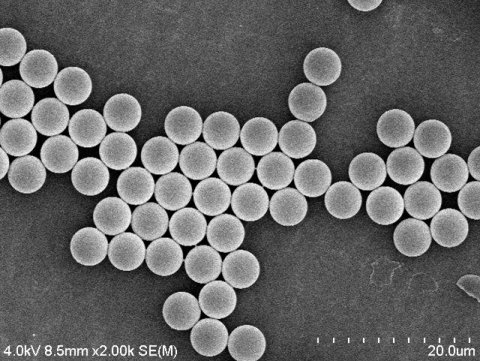 091346_044114_gsdt.png image.png