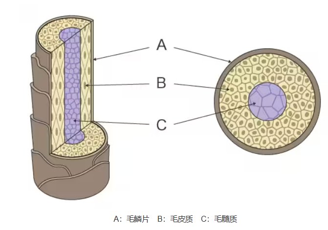 172259_557959_jswz.png 172259_557959_jswz.png