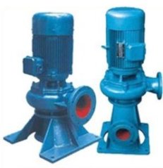 WL立式排污泵的图片