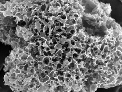 多孔碳材料：制备技术、应用前景与未来展望