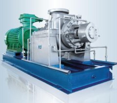 BB2系列HDS重载流程泵的图片