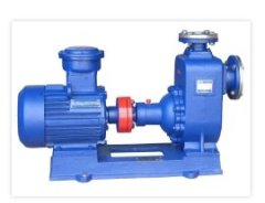 ZW自吸泵的图片