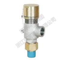 PN16～320 外螺纹连接弹簧封闭微启式安全阀的图片