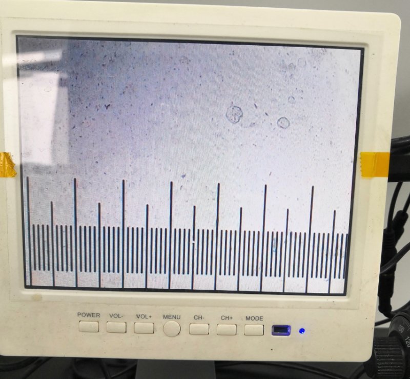 091049_458990_procont.png image.png