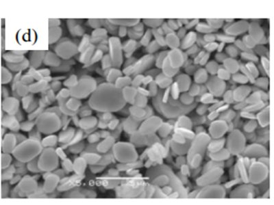 ��ϸƬ״���ۣ�Ϊ��һ�����ӽ��϶���