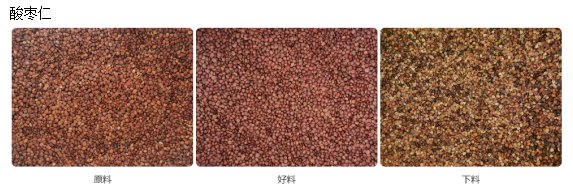 酸枣仁.png