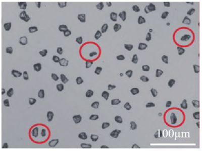 һ��΢С�Ľ��ʯ�ۣ���κ������жࡰ��ǿ����