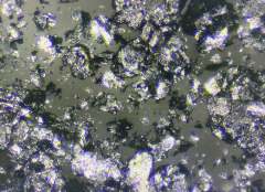 鳞片石墨的图片