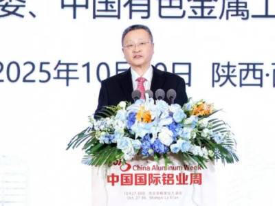 葛红林：氧化铝供需失衡加剧，将富裕的氧化铝出口得不偿失！
