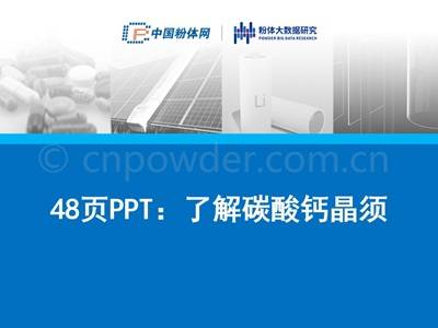 48页PPT：了解碳酸钙晶须