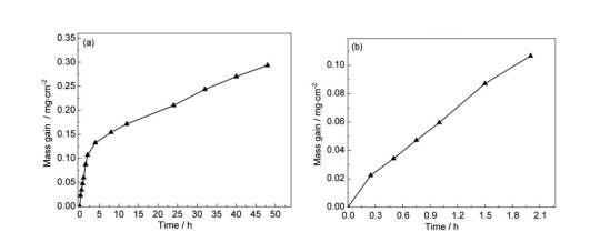 091640_441942_jsue_jswz.png 2.png