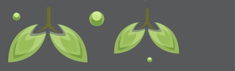 085022_980487_jsue_gsdt.jpg 085022_980487_jsue_gsdt.jpg