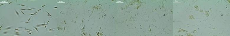 135240_161488_jsue_gsdt.jpg