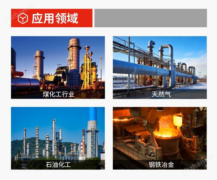 气体在线拉曼分析仪