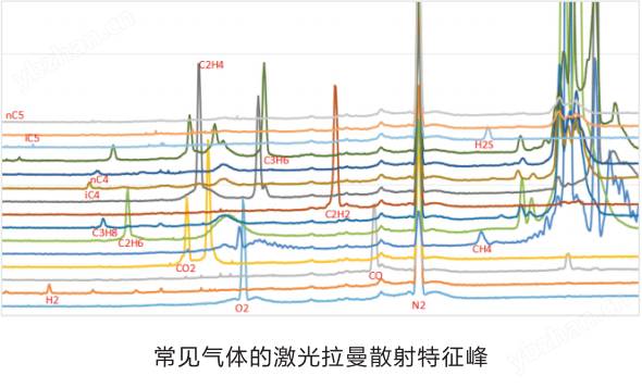 多组分气体分析仪