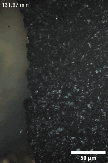 微信图片_20260603100036.gif