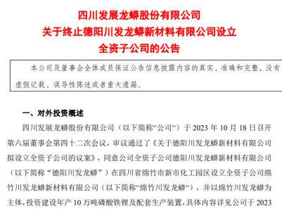 川发龙蟒终止德阳川发龙蟒设立全资子公司投建磷酸铁锂项目
