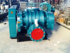 罗茨风机的图片