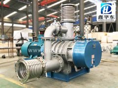 HDSR-300WN罗茨蒸汽压缩机的图片