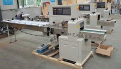 枕式XP-Z300的图片