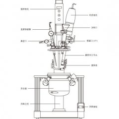 PJ-5L/实验室均质乳化反应釜的图片