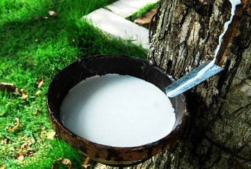 天然橡胶产量下降，我国轮胎行业何去何从？