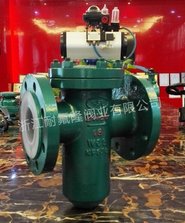 篮式过滤器的图片