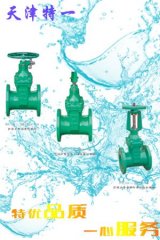 饮用水专用弹性座封闸阀的图片