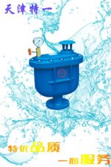 CARX复合式排气阀的图片