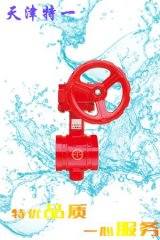 D381X-1.6涡轮沟槽蝶阀的图片