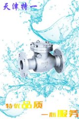 旋启式止回阀的图片