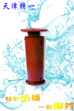 轴向型复式波纹补偿器的图片