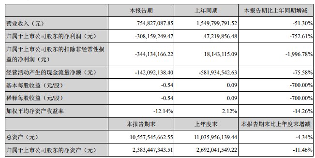 猛狮科技上半年亏损3.08亿 自曝流动性临近枯竭
