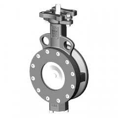 偏心对夹蝶阀的图片