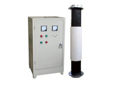 RGT系列高频脉冲脱磁器的图片