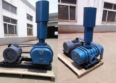 3L125WD/WC型(3L125WD/WC)罗茨鼓风机的图片