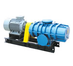 3L150WD/WC型(3L52WD/WC)罗茨鼓风机的图片