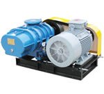 3L250WD/WC型(3L62WD/WC)罗茨鼓风机的图片