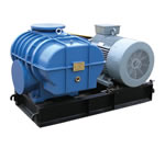 3L300WD/WC型(3L63WD/WC)罗茨鼓风机的图片