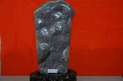 拳拳报春晖的图片