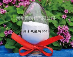 纳米活性碳酸钙WN506的图片