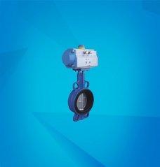 中线对夹式蝶阀的图片