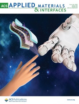 石墨烯周报（6.6—6.15）：石墨烯人有了自己专属的节日