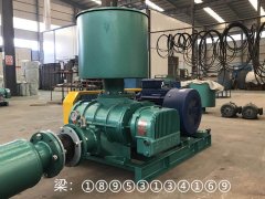 零泄露K型机械密封罗茨鼓风机的图片