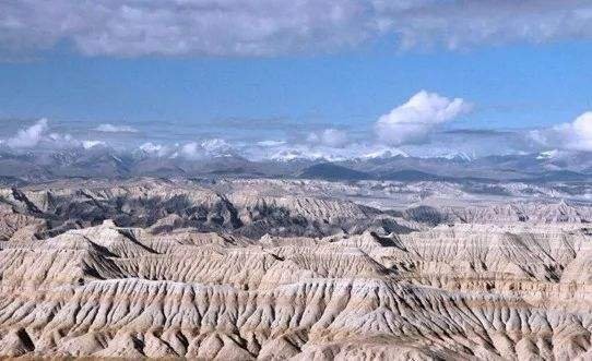 Altura矿业与山东瑞福锂业签署包销协议