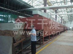 DWC系列脱水蔬菜带式干燥机的图片