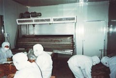 DWT系列脱水蔬菜干燥机的图片