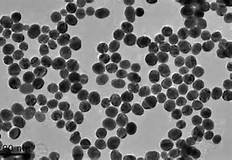 俄罗斯借助硅纳米粒子“曝光”肿瘤集聚区