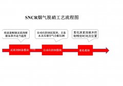 脱硝系统示意图的图片
