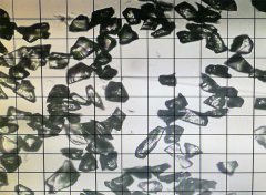 绿碳化硅微粉 1200#颗粒形状的图片